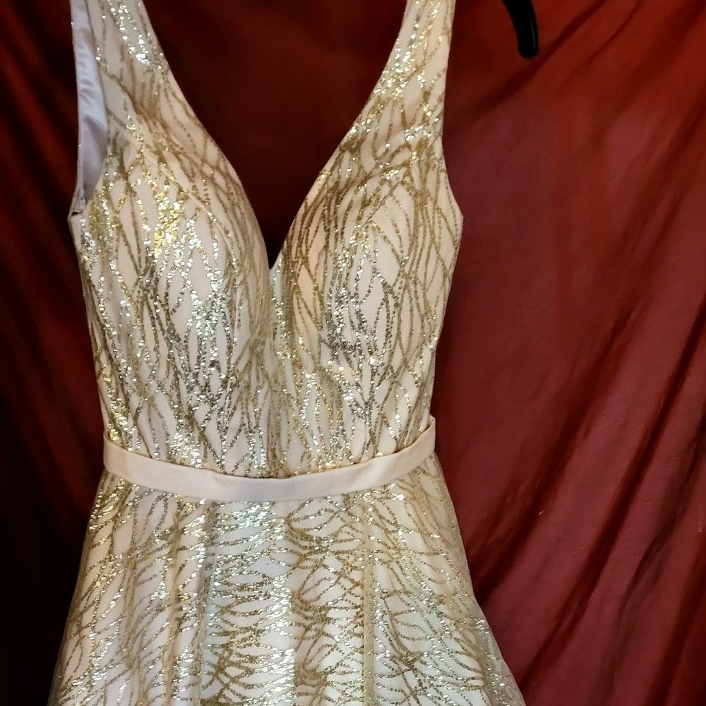 Size 6 Gold premium event dress